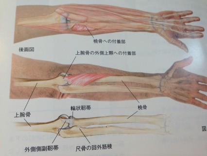 肘の痛み